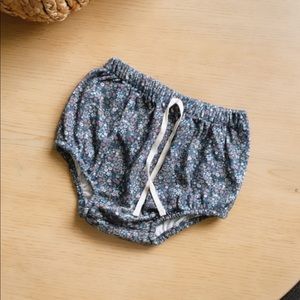 3-6 months bloomers